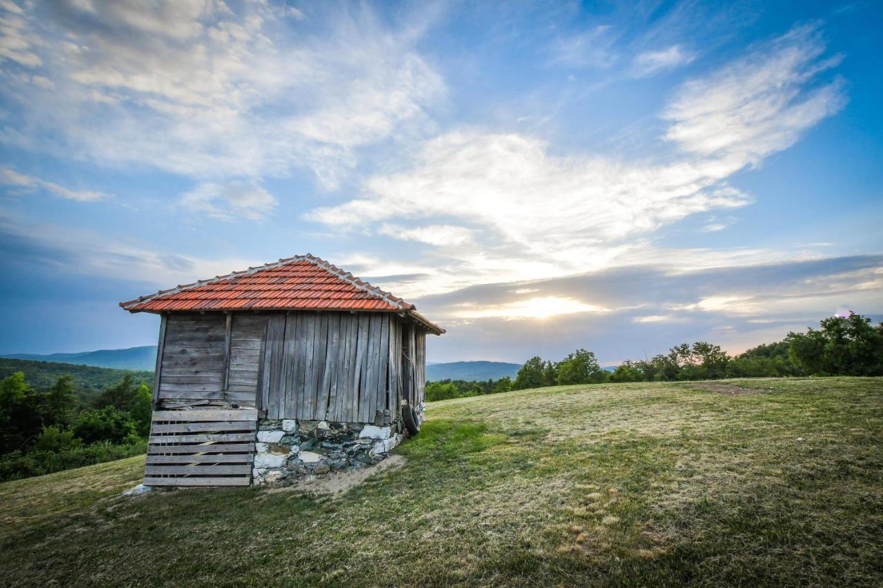Brvnara Vila Promaja Kladovo Eksteriør billede